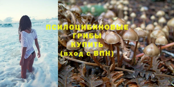 тгк Михайловка