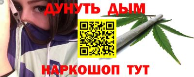 молекула духа Кингисепп