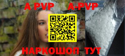 молекула духа Кингисепп