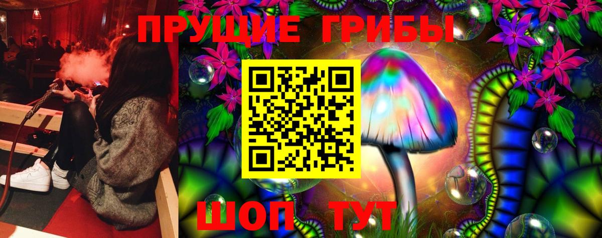 Псилоцибиновые грибы Cubensis  продажа наркотиков  Сафоново 