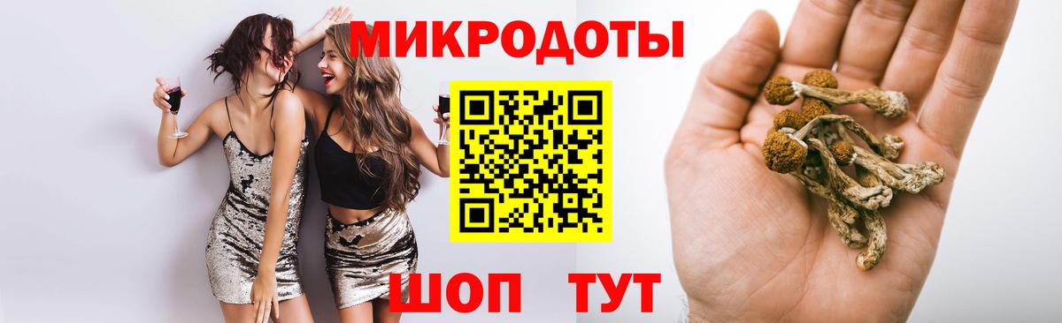 Сафоново  Галлюциногенные грибы Cubensis  Вход с VPN  Псилоцибиновые грибы MAGIC MUSHROOMS 