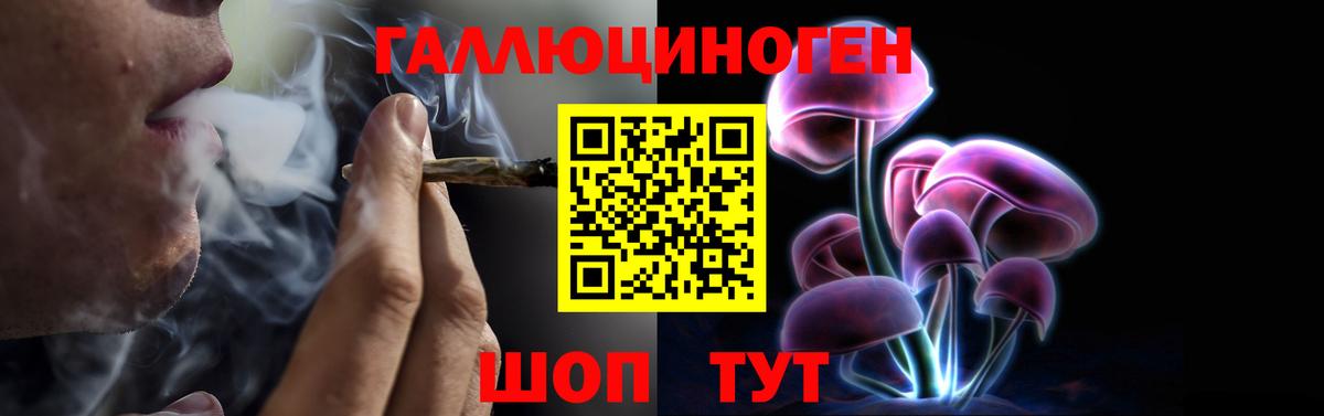 Галлюциногенные грибы мицелий Сафоново